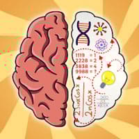 Brain Tricky Puzzles