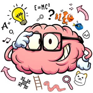 Brainin