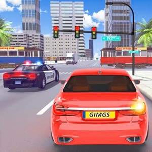 Driving Test Simulator