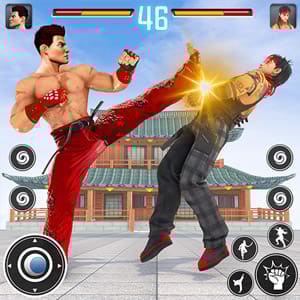 Kung Fu Karate Fighting Boxing