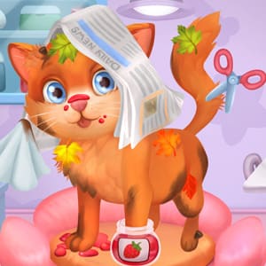 Save Stray Cat